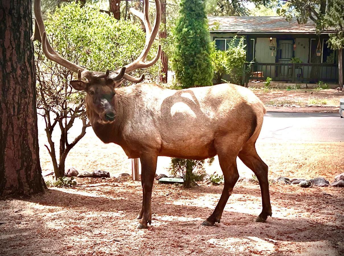 Villa Hidden Gem Retreat In The Heart Of Payson Exterior foto